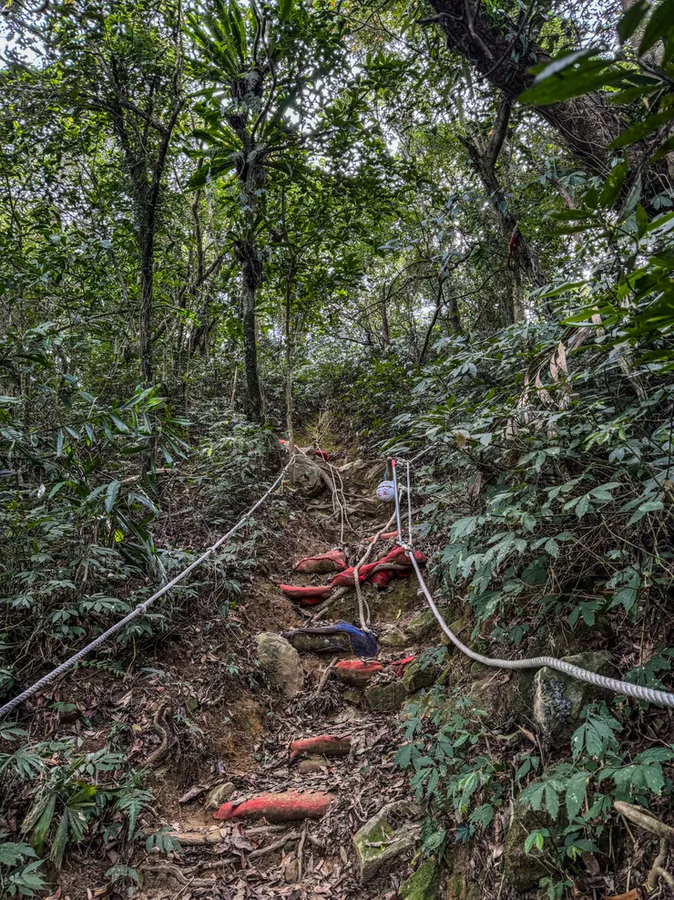 大雨沖刷路基流失,志工大哥們搬沙包造路有夠辛苦。