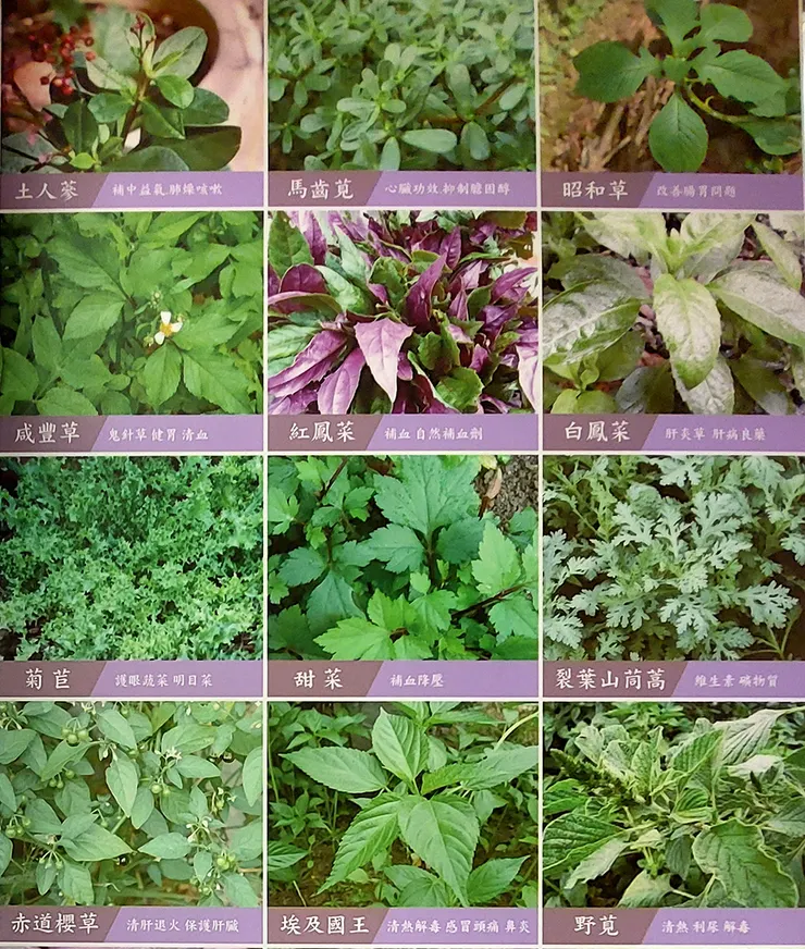 ▲中壢「玄茗野菜鍋物」/ 圖片來源：Betty's Jump Diary