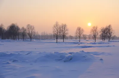 寫原創小說的貓 喵～
