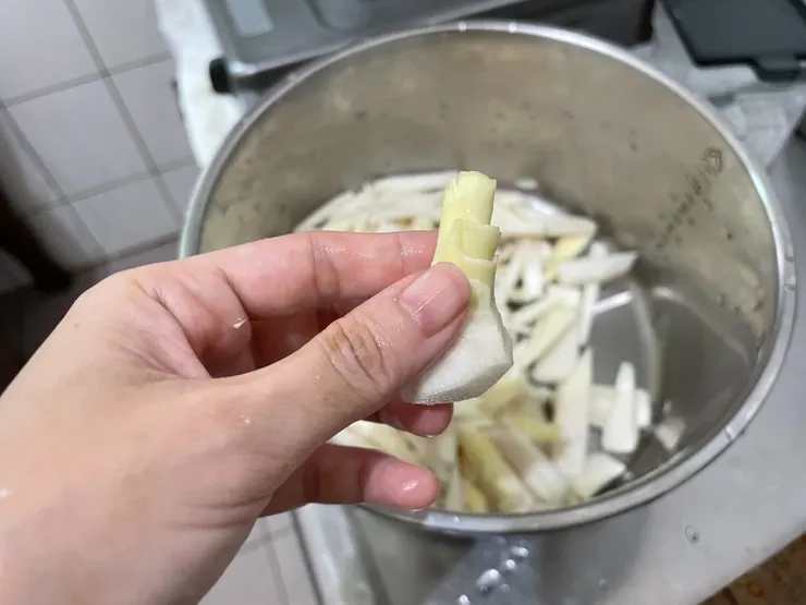 這禮拜採收的小小筍子