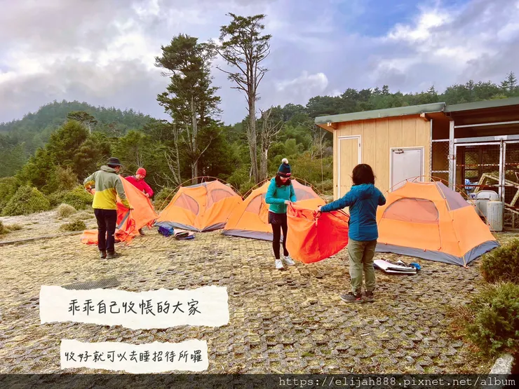 【丹大林道.六順山.七彩湖】六順山.海拔3009公尺/波波草
