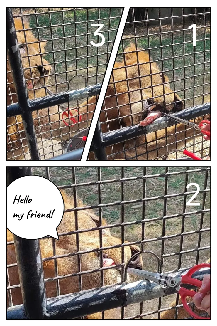 拍攝 / 設計 : 加奧·安娜