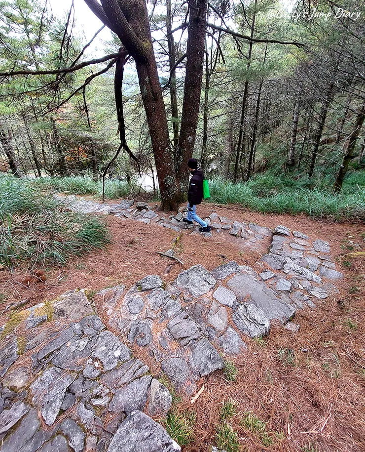 ▲台中「大雪山國家森林遊樂區」/圖片來源：Betty's Jump Diary