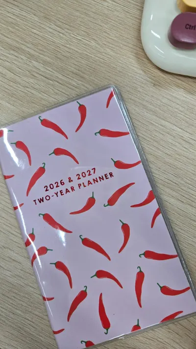 簡易版的三年日記