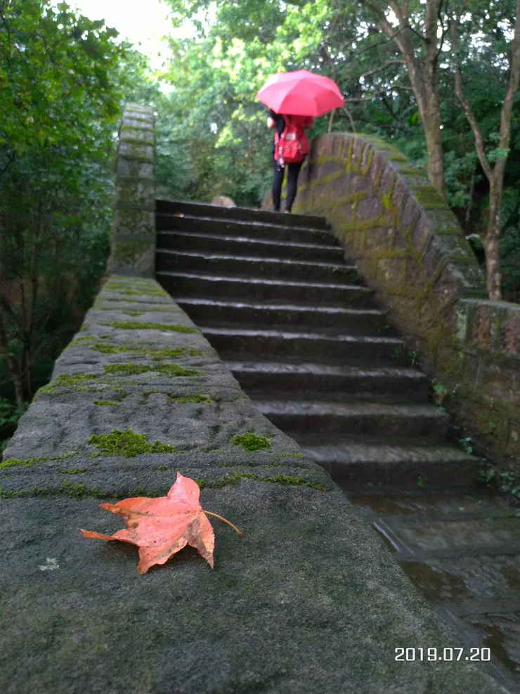 對上位者而言, 這些只是微不足道的插曲