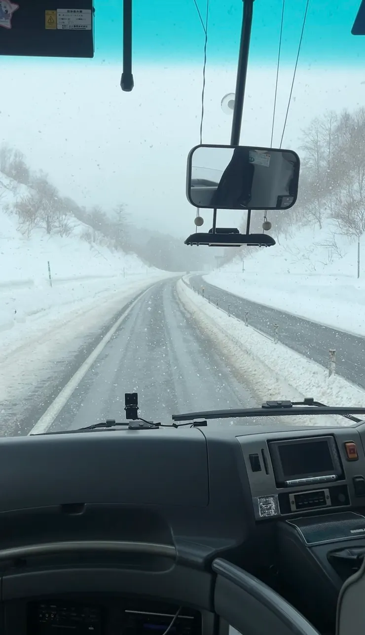 城市移動．大雪紛飛