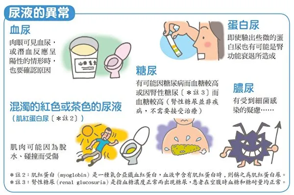 尿液出現異常，有可能是橫紋肌溶解症或尿毒症