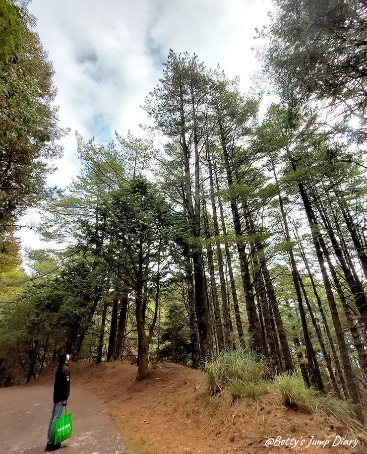 ▲台中「大雪山國家森林遊樂區」/圖片來源：Betty's Jump Diary