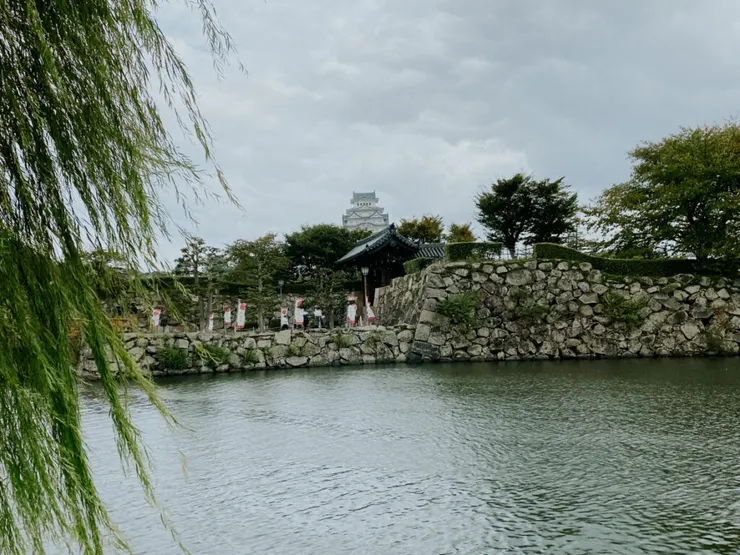 遠眺姬路城天守閣