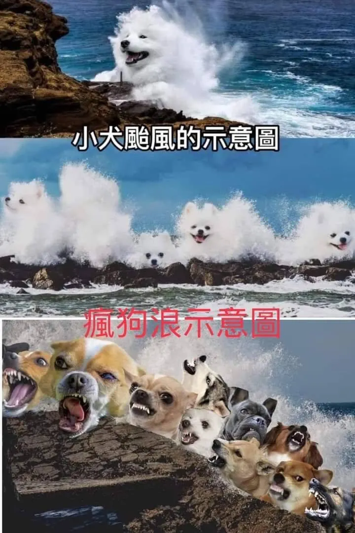 【可愛的名字恰似一個反諷！網路上流傳的哏圖。】