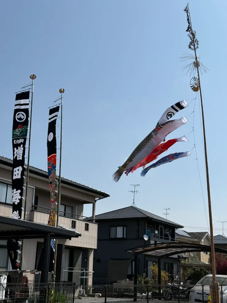 路邊飄揚的鯉魚旗