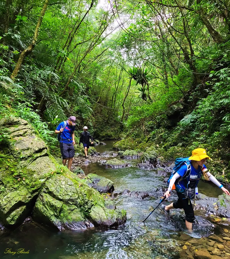 部分路段落差較大，要小必通過
