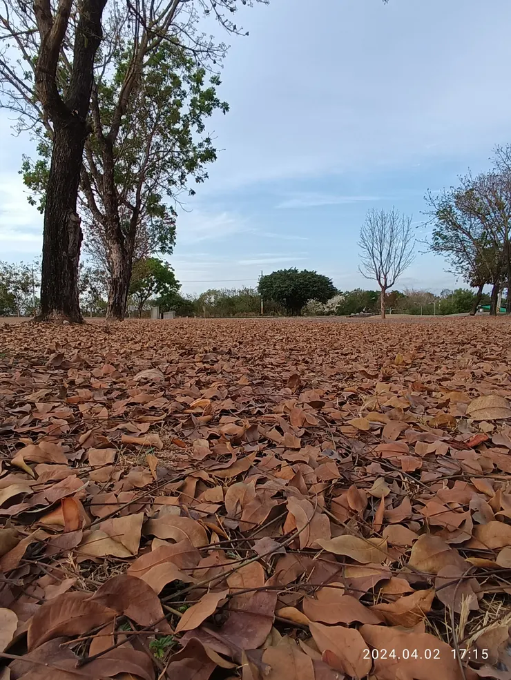 自拍攝於左岸幸褔公園
