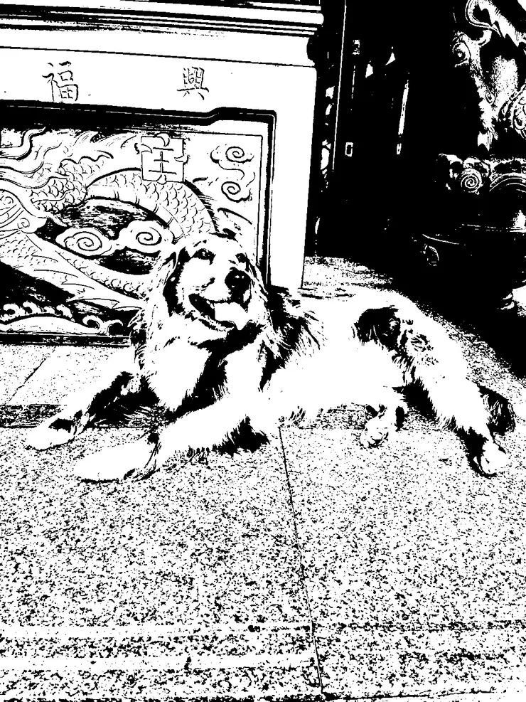 二值化影像(黑代表0，白代表1)