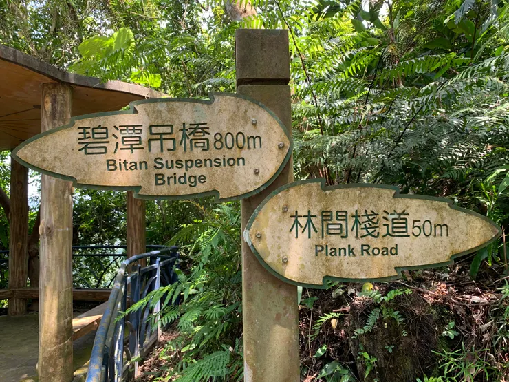 靈靈：太神啦！開悟力量真實的展現嗎？