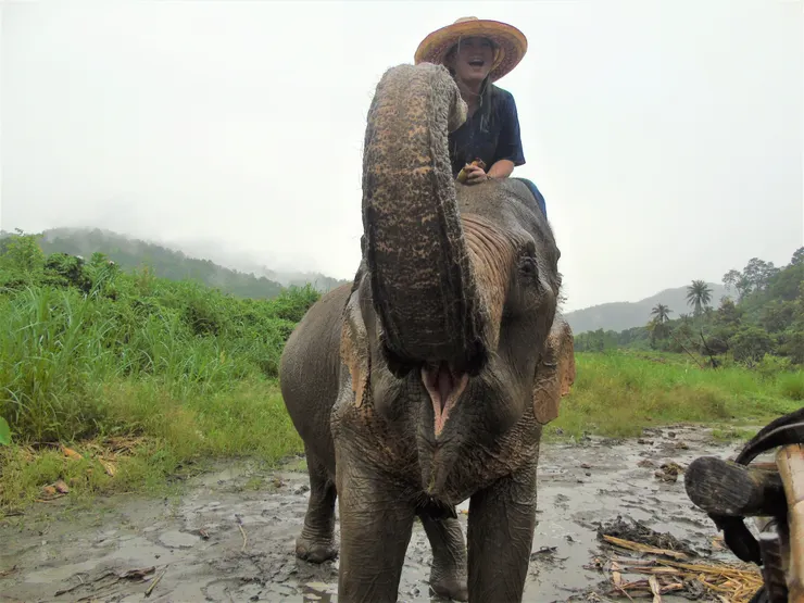 卡蘿終於上來了😁