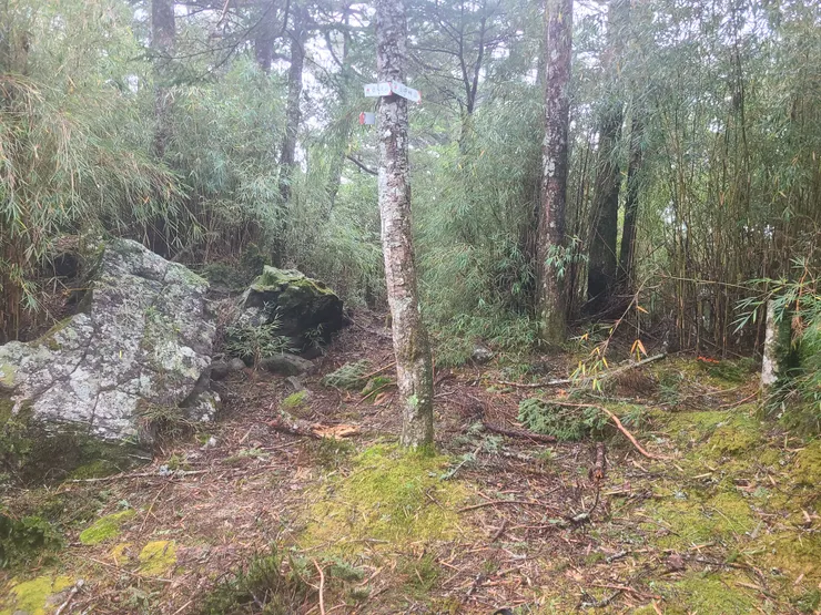 志摩山山頂有指示牌，避風也適合迫降，但位置差不多我搭完帳就很滿了