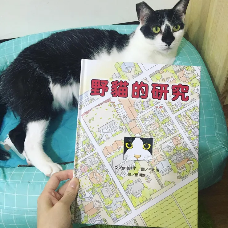 《野貓的研究》