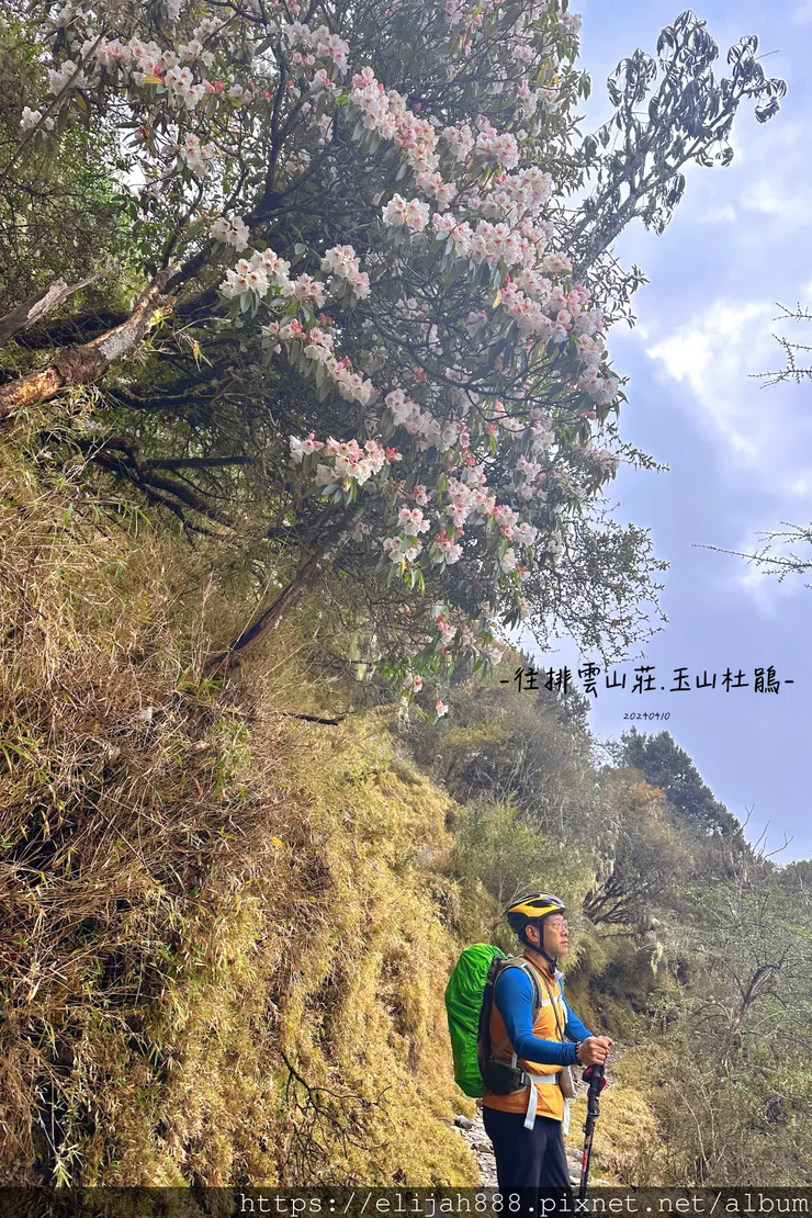 【玉山主峰西峰.兩天兩夜】南投縣信義鄉的望鄉部落艾度民宿/塔