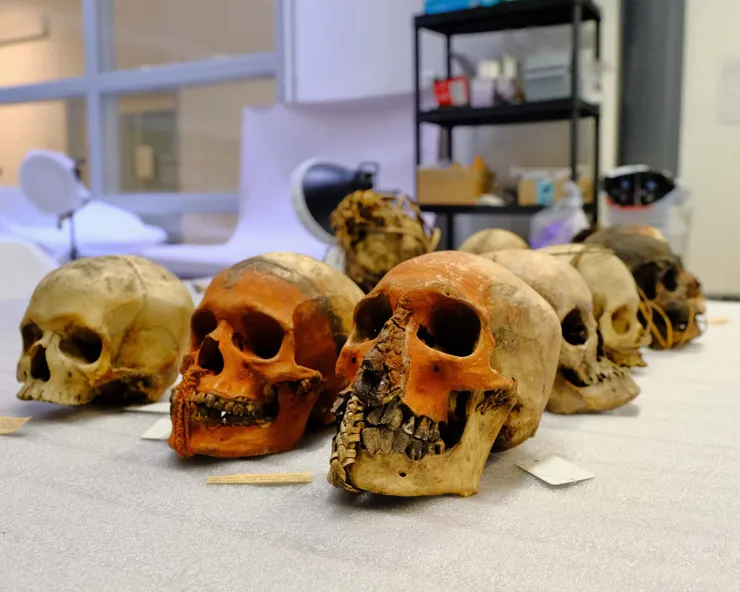 圖片來源：Pitt Rivers Museum 