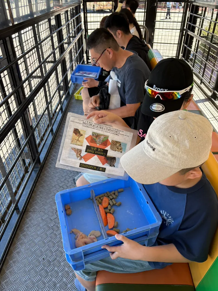 叢林巴士車上的食物和工具