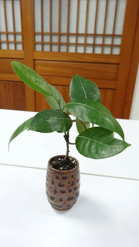 金山法鼓山103.10.22