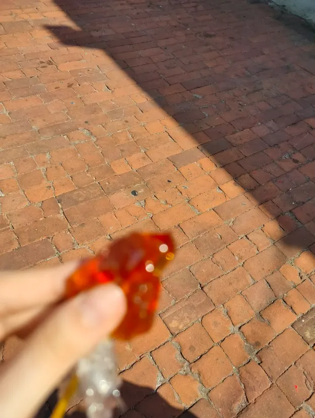 模糊的麥芽糖🤣