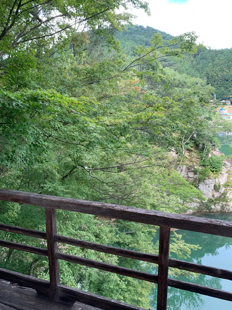 賞楓亭,時候未到。