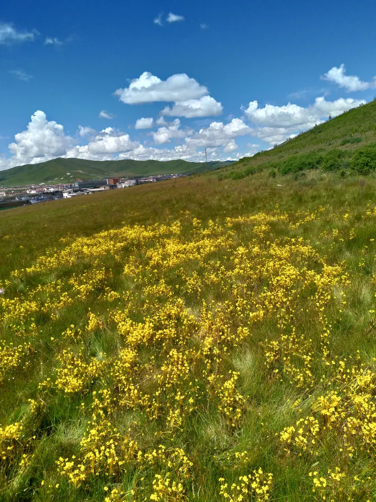 「等風來青旅」後的元寶山