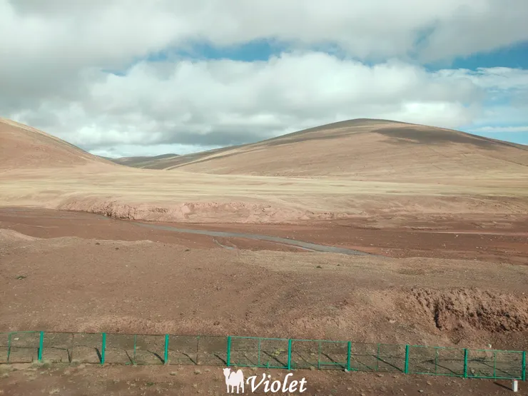 青藏列車 可可西里無人區
