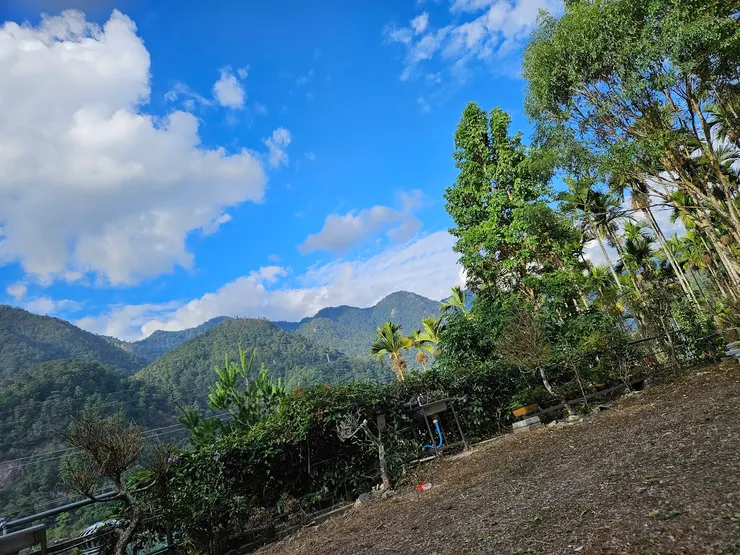 廢到連拍照都不想起身的我 行軍床上的視角