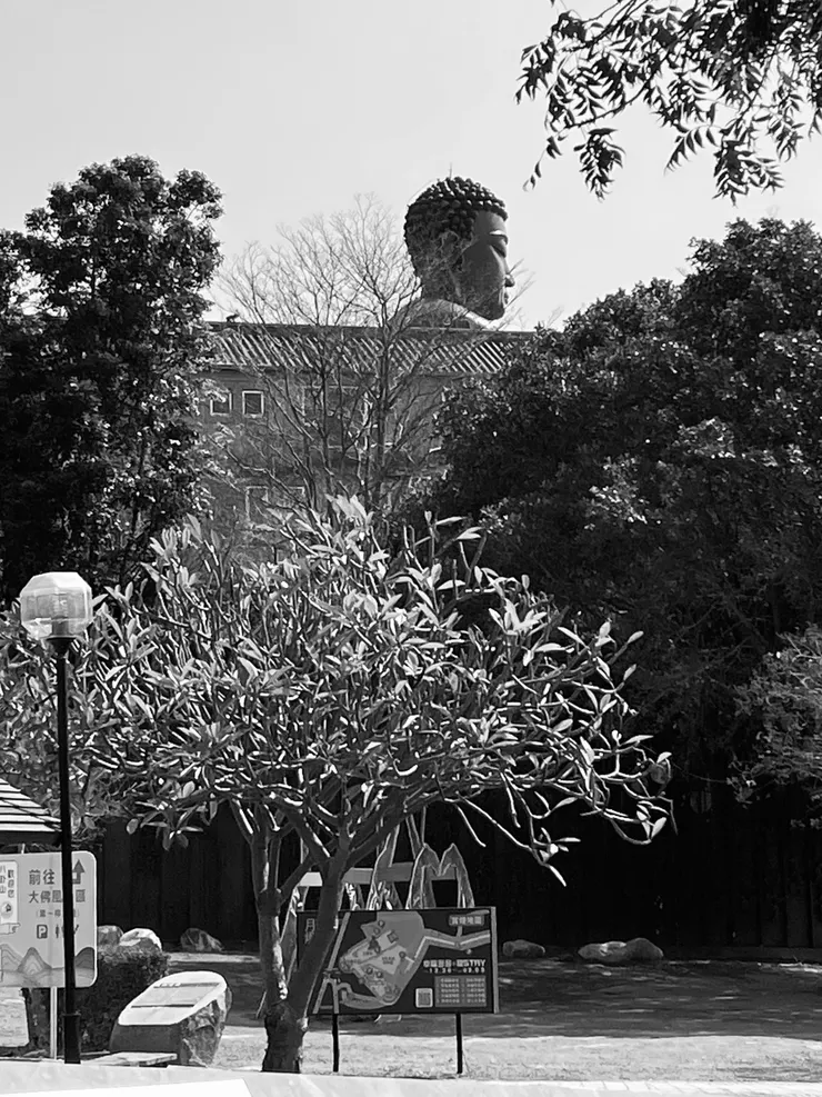 我們的八卦山大佛是側面帥XDDD