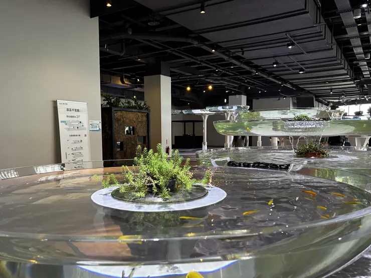 模擬大甲溪上到下游生態