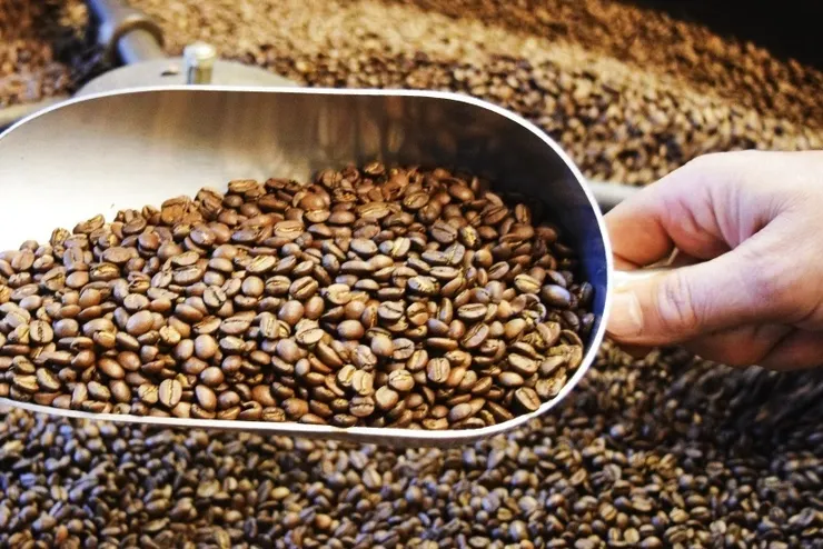 咖啡豆推薦