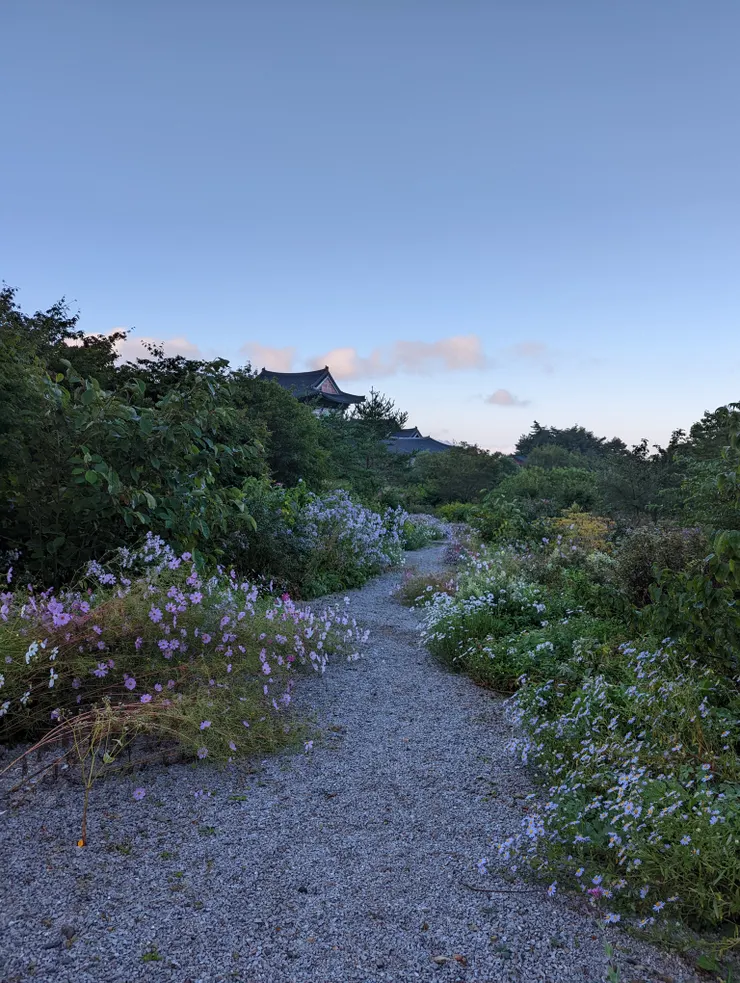 幽靜的寺院內部一隅