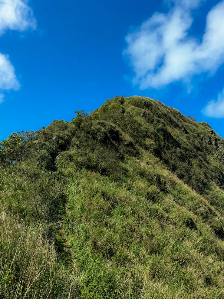 共差一點點就到基隆山東峰啦！！加油！！
