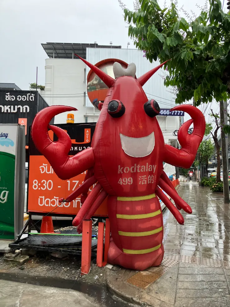遠遠就可以看到這隻蝦
