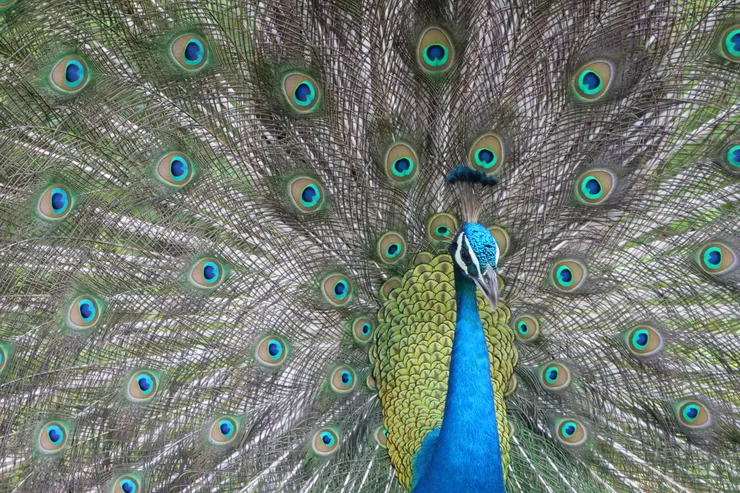 哇，沒想到我也拍到像國家地理雜志的照片，笑