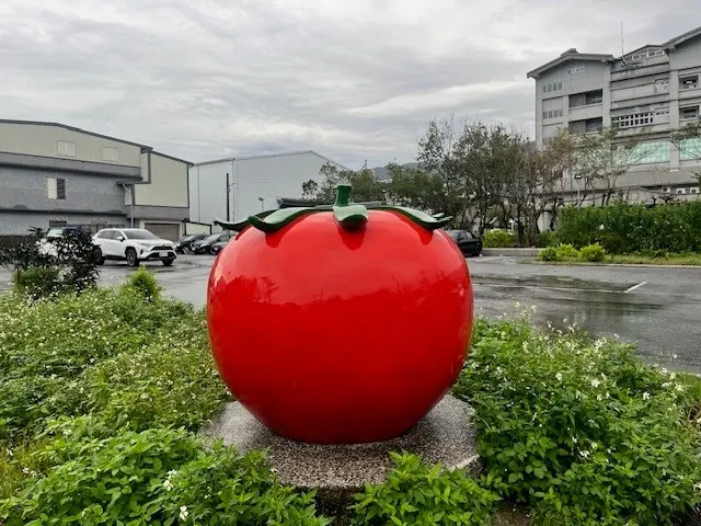 大番茄