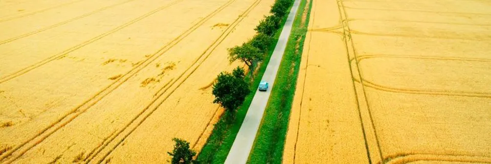 我種樹，我乘涼