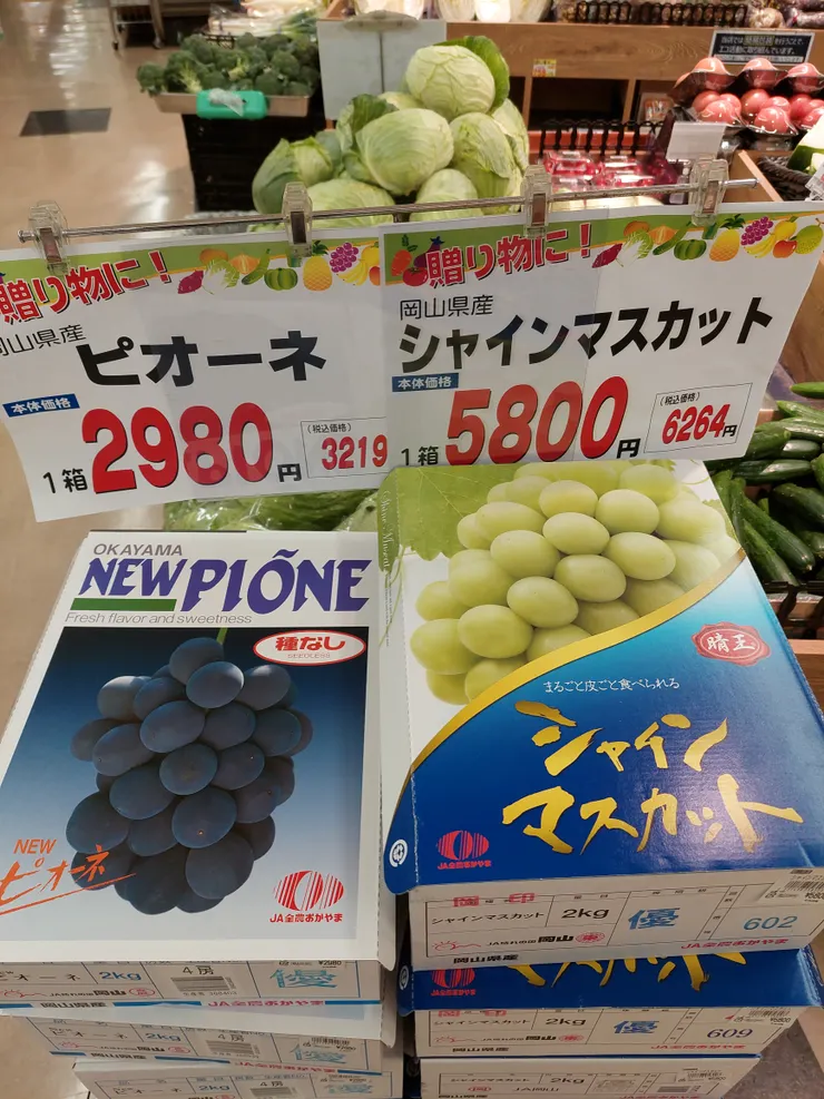 岡山葡萄
