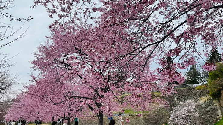 看起來似乎沒有盡頭。