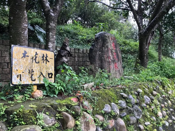 位在木柵杏花林風景明媚，一旁山區竹林成了黃佩芬喪命之處