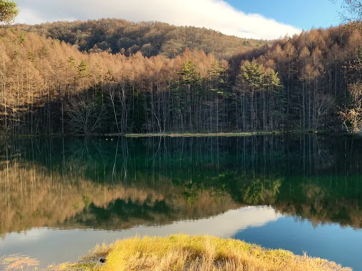 Zora 攝於御射鹿池，2024 / 11 /24 。