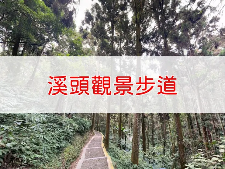 【南投】溪頭觀景步道 | 全長里程：1.1公里 | 難易度：低