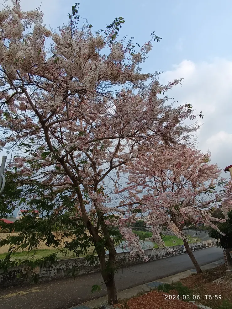 流穿美濃市區小溪，自拍