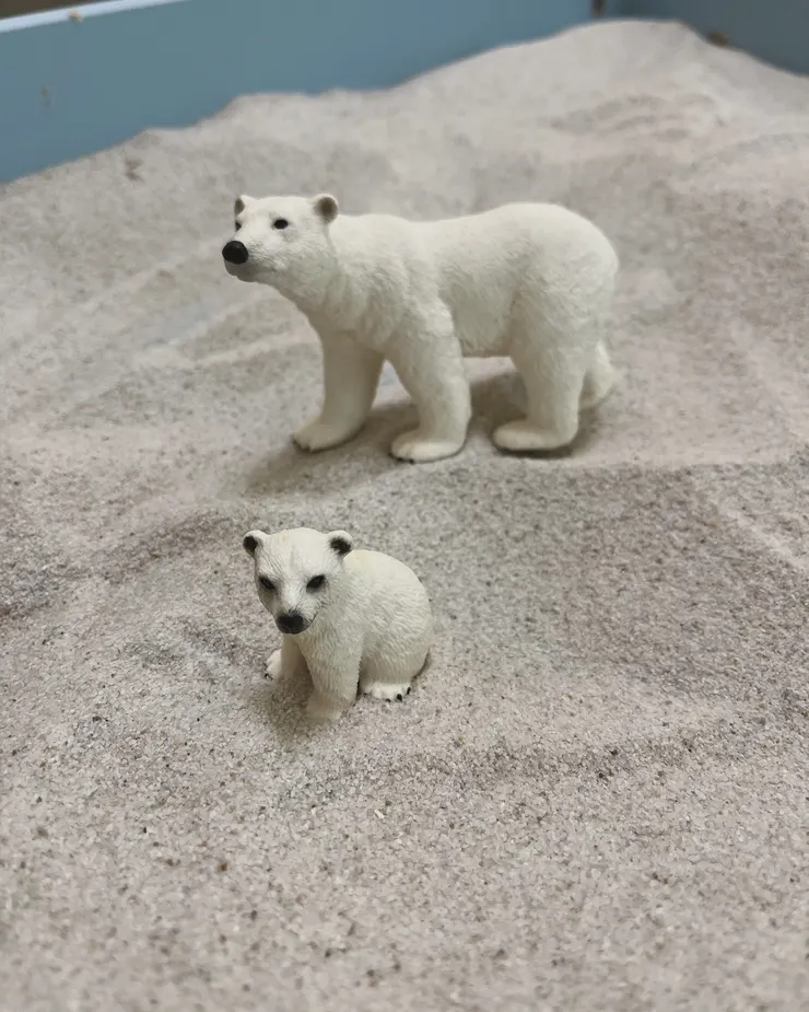 最後一堂諮商時，有個小小畢業典禮。在排沙盤時，發現內心那個小北極熊長大了，依然可愛