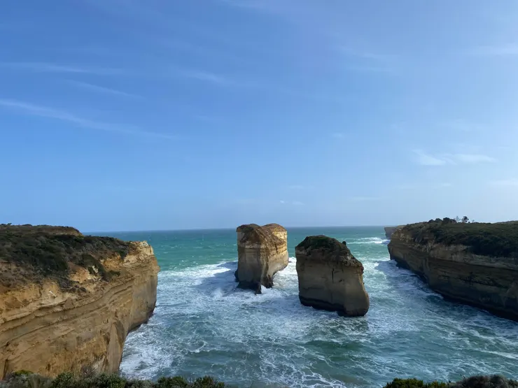 愛爾蘭先生的教學成果