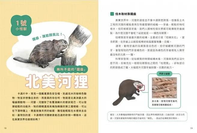 《小怪獸備忘錄》