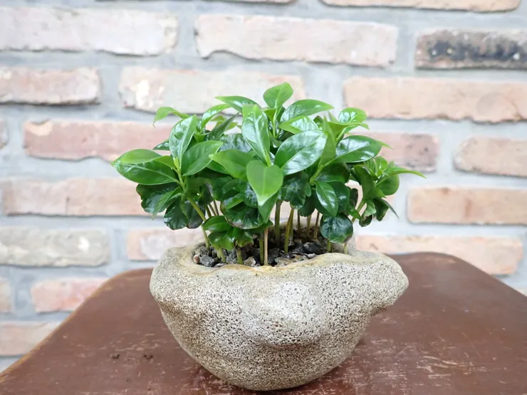 淡水社大114.09.09